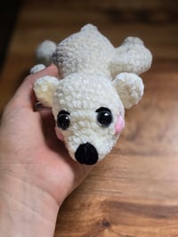 Image 4 of Sleepy Poalr Bear