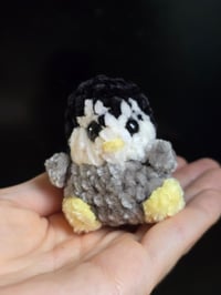 Image 2 of Mini Penguin 