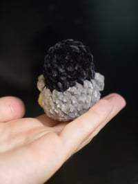 Image 4 of Mini Penguin 