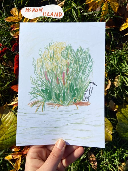 Image of Park Life Prints🍁