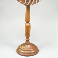 Image 13 of Coquillage nautile tigre sur pied en bois fin XIXe XXe - Nautile sur socle Nautilus Pompilius