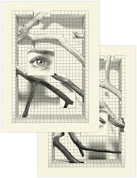 Image 1 of PRE-ORDER: HMBL Print Set