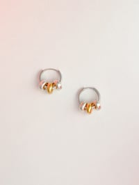 Image 3 of CIAMBELLINE x 3 🍩