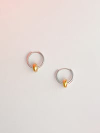 Image 4 of CIAMBELLINE 🍩