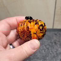 Image 7 of XL. Bumpy Orange & Black Pumpkin - Flamework glass sculpture
