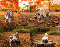 Image 2 of 2025 Black Friday Deals