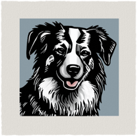Image 1 of Border Collie Giclee Print - Various Sizes