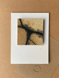  The shapes we see III