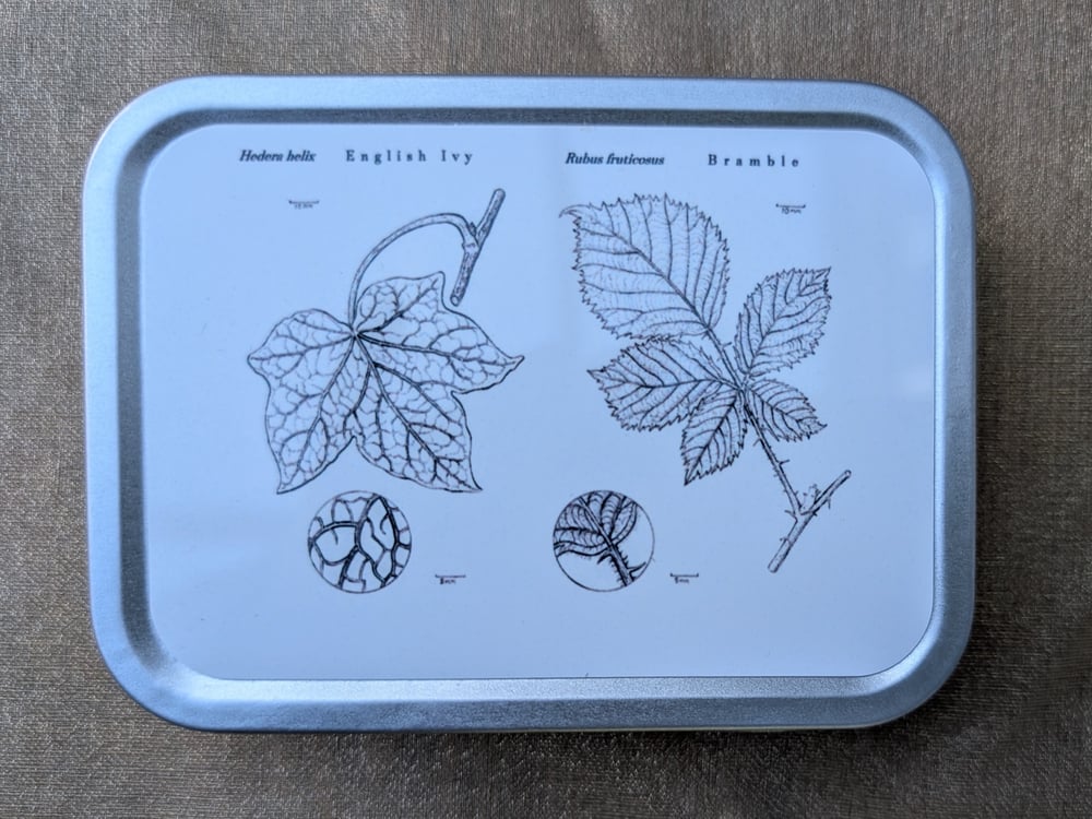 Image of NEW PRODUCT! - Little Metal Tins