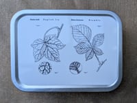 Image 4 of NEW PRODUCT! - Little Metal Tins