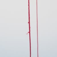 Image 3 of Cornflake Pearl Necklace – SAMPLE