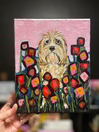 Image 2 of Lab oodle Bloom