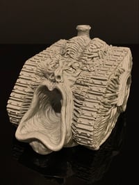 Image 1 of The Scream