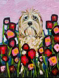 Image 1 of Lab oodle Bloom