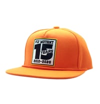 Image 1 of Copy of Copy of FM 15 Years 5 Panel Snapback Hat (Orange)