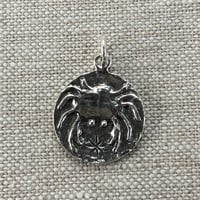 Image 10 of Star Signs Zodiac Charms by Rachel Salome Jewelry