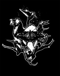 Image 2 of Black Efferverence Shirt