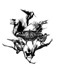 Image 1 of White Efferverence Shirt