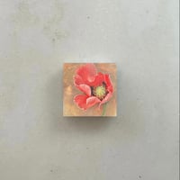 Image 1 of No. 246 - Pavot