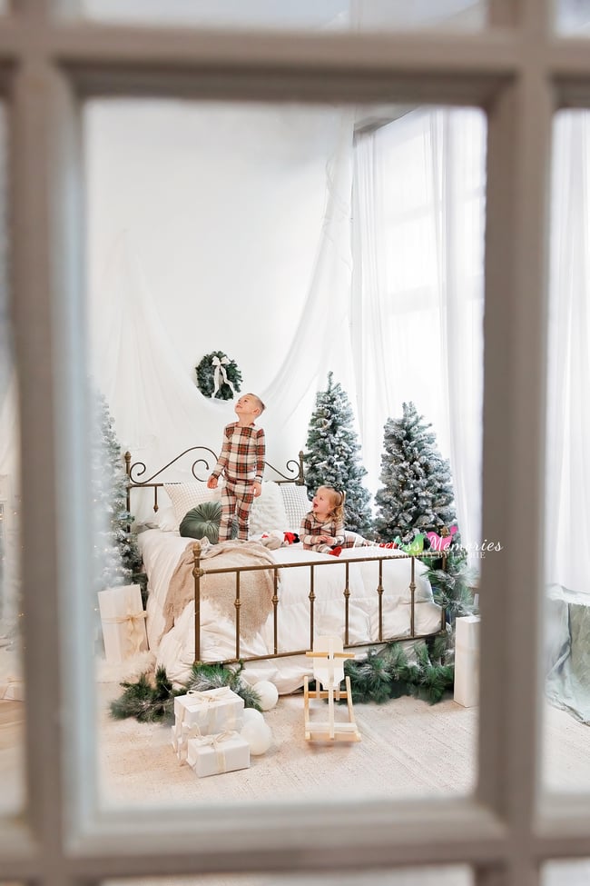 11/29 Christmas Bed Set or Livingroom 