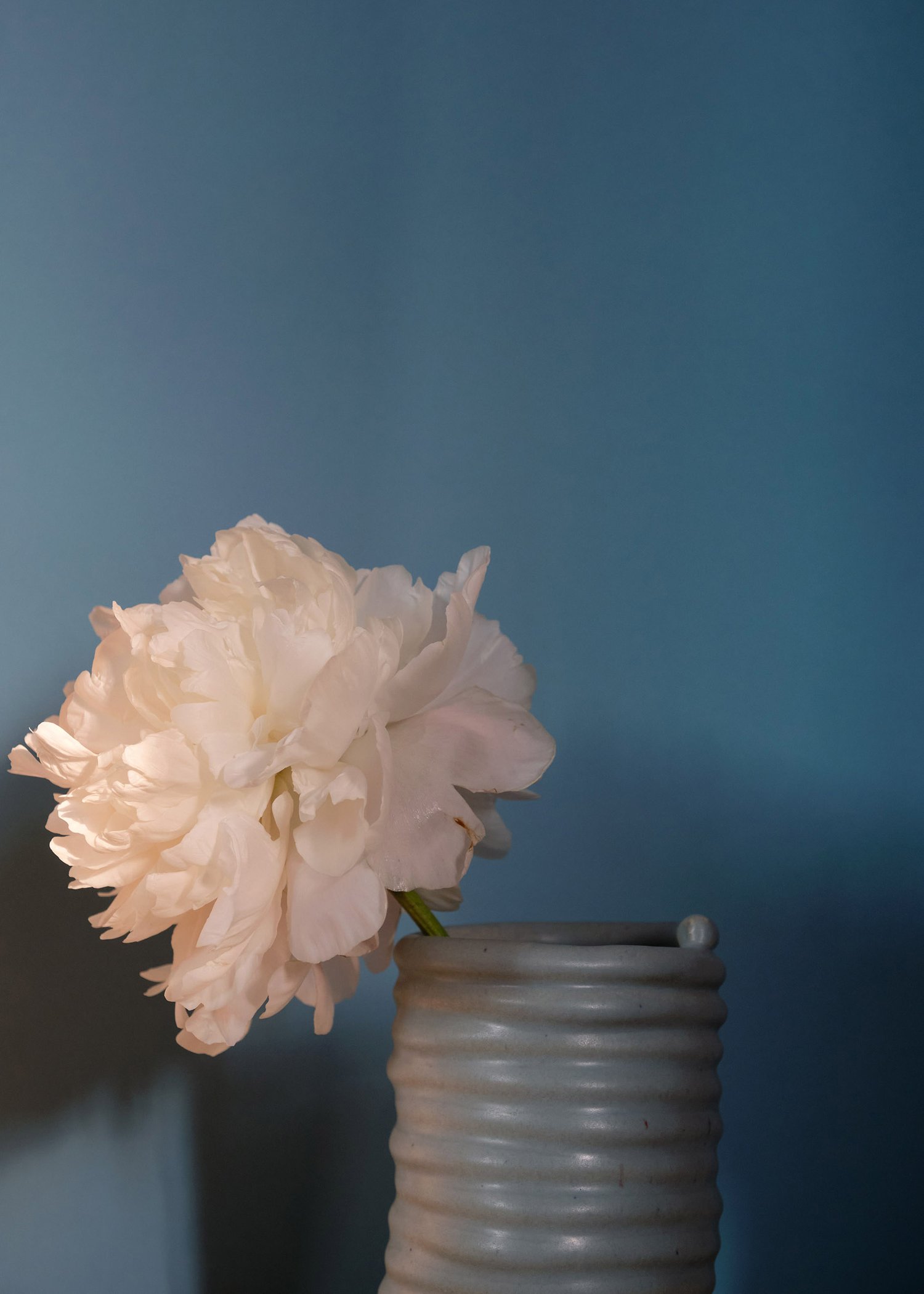 Image of Jarrón Enrollado in Blue Grey