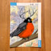 Image of Alpha Robin / unframed original painting