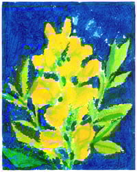Yellow Pea Flowers - Tempera Painting