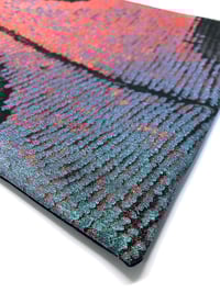 Image 3 of Papilio rumanzovia butterfly wing tote