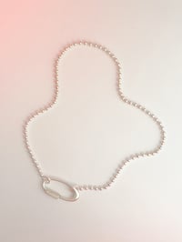 Image 1 of PALLINI + CARABINER