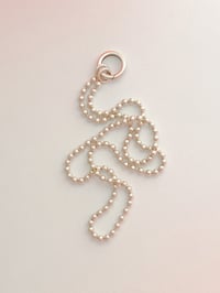 Image 1 of PALLINI + 🍩