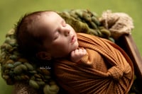 Image 4 of The Petite ~ Wrapped Only Newborn Session
