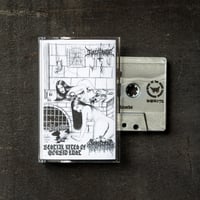 Blasfemator / Sepulcral – Bestial Rites of Morbid Lust