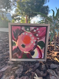 Image 2 of Seaside Lady + Pink Lady