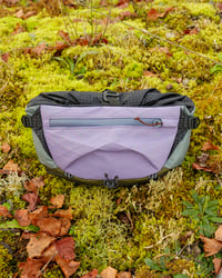 Image 5 of MUSA LAMINA