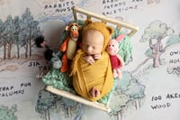 Image 1 of The Petite ~ Wrapped Only Newborn Session