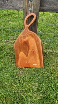 Image 2 of Sydney Blue Gum -127