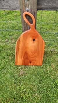 Image 3 of Sydney Blue Gum -127