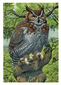Image 1 of "Great Horned Owl" • Limited Edition Art Print (18" x 24")