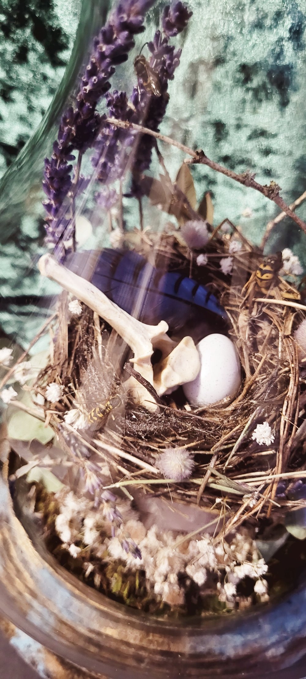 Image of A perfect perch