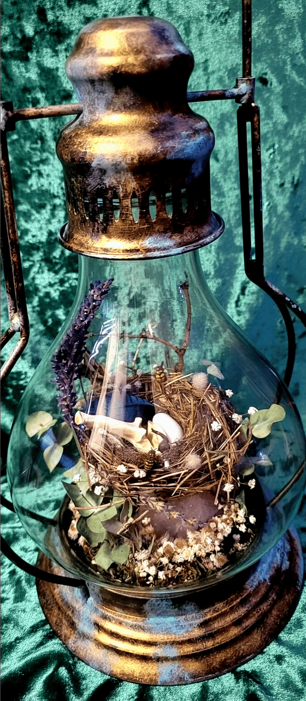 Image of A perfect perch