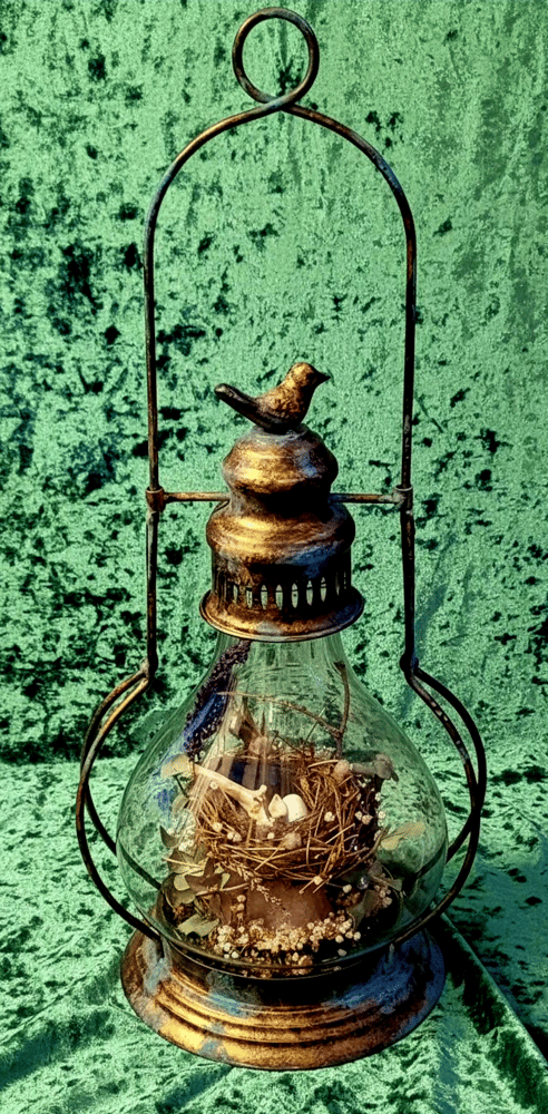 Image of A perfect perch