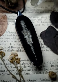 Image 2 of Bunny Pelvis Pendant