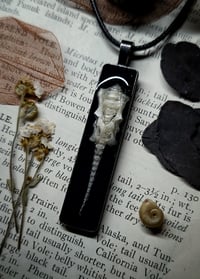 Image 2 of Rabbit Spine and Pelvis Pendant