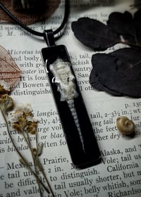 Image 4 of Rabbit Spine and Pelvis Pendant