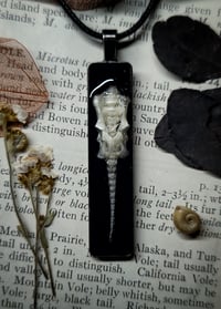 Image 1 of Rabbit Spine and Pelvis Pendant