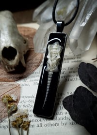 Image 5 of Rabbit Spine and Pelvis Pendant