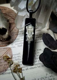 Image 3 of Rabbit Spine and Pelvis Pendant