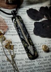 Image 4 of Skink Skeleton and Floral Pendant