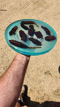 Image 2 of Banksia Pod Charcuterie board