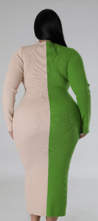 Image 2 of The Modish Tone Dress